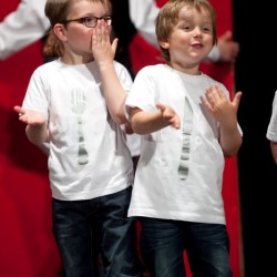 Groepsoptreden (31) - Toneelvereniging Plankenkoorts 
